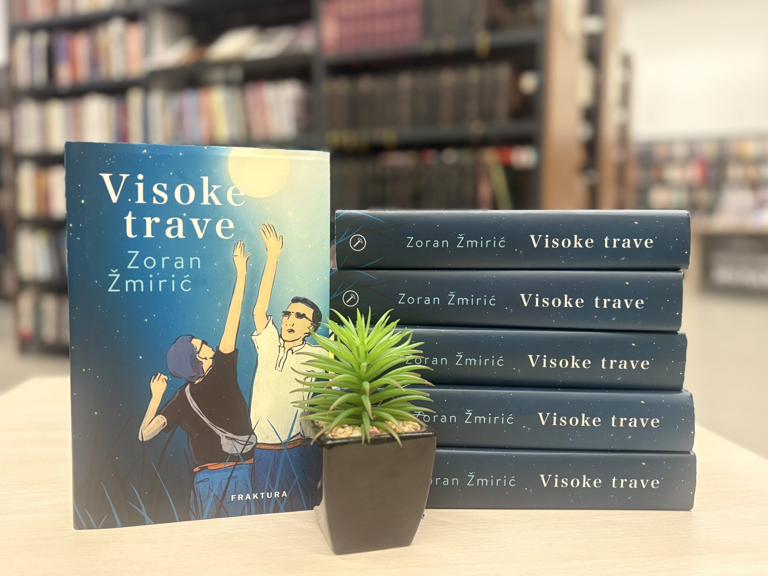 Zoran Žmirić - predstavljanje romana Visoke trave