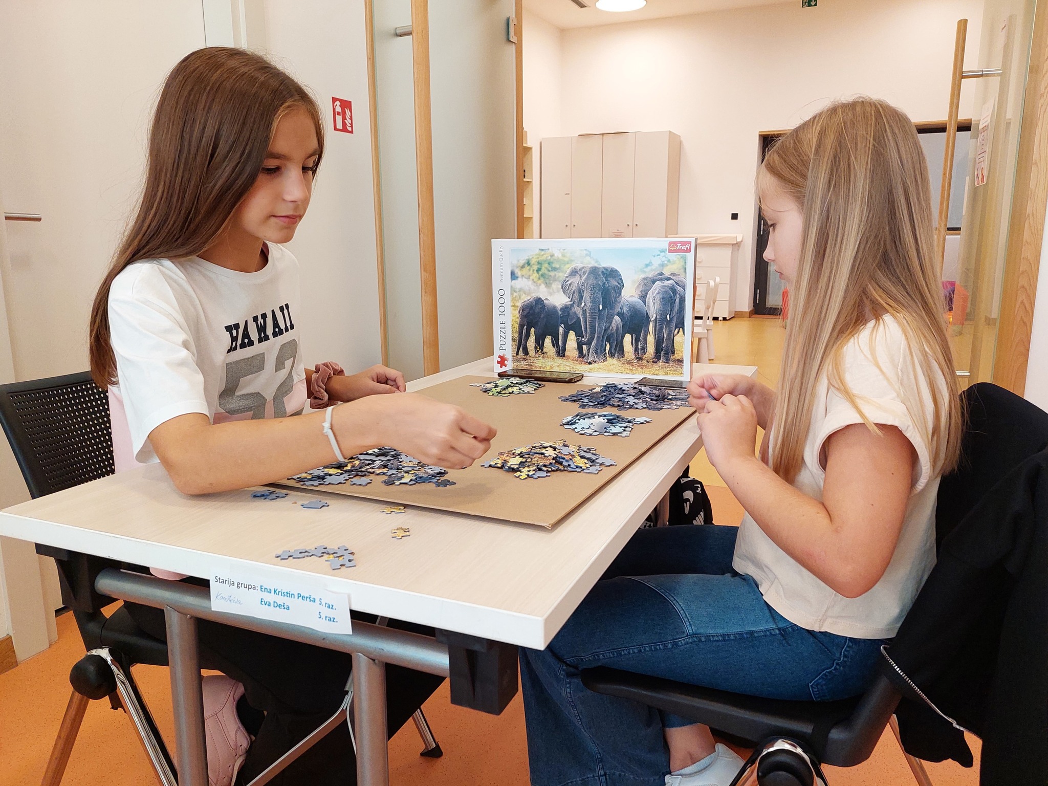 Gradska knjižnica Požega - Maraton u slaganju puzzli