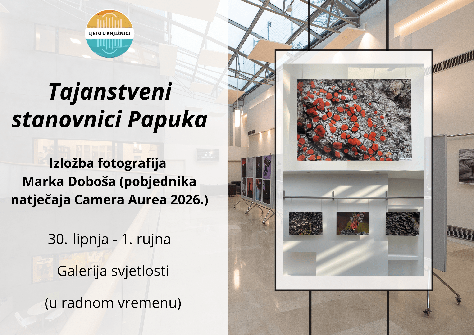 Gradska knjižnica Požega - Izložba Marka Doboša
